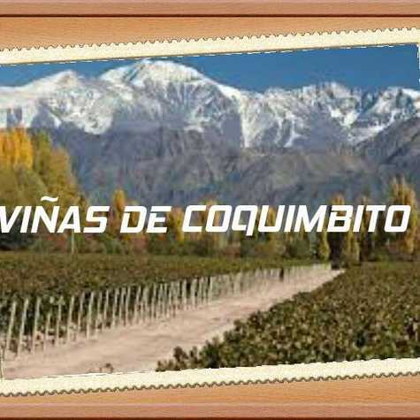 Viñas_de_coquimbito.jpeg